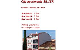 City Apartments Silver